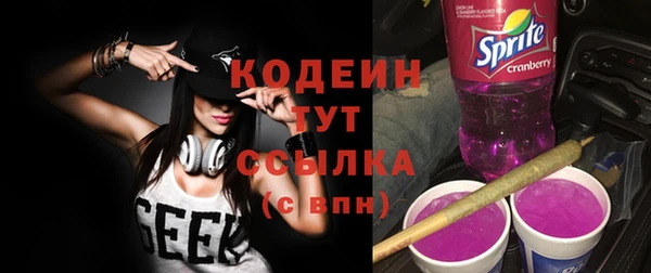 хмурый Алзамай