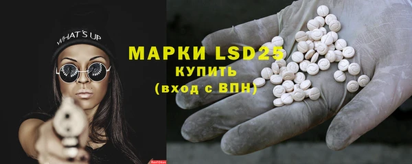 хмурый Алзамай
