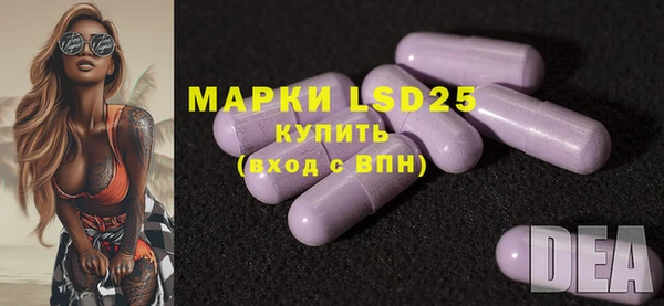 хмурый Алзамай