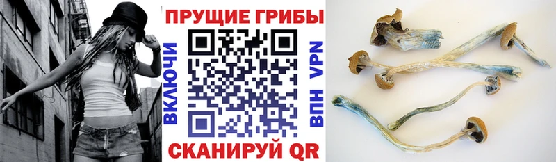Галлюциногенные грибы Magic Shrooms  Купить закладки  Талдом 